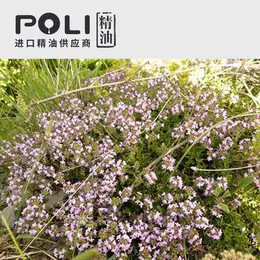 (������)�M�ڳ��㴼�����㾫��(��)ԭ��