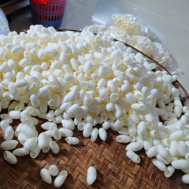 Шелковое сырье кокон тутового шелкопряда