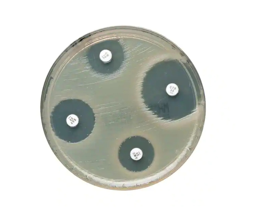 OXOID，CT0774B，美罗培南(美平)药敏实验纸片10μg，250片/盒