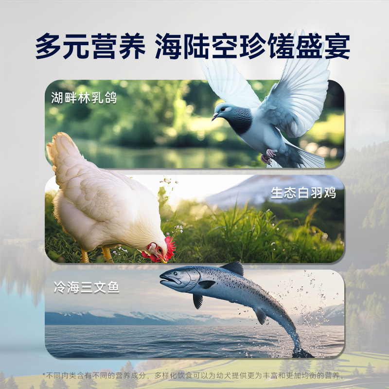 Carne fresca para perros hippie, comida para perros sin grano, comida para perros para cachorros, Teddy Corky, comida para perros pequeños, comida para mascotas de pelo dorado.