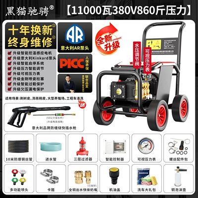 Gun Pump for Floor Cleaning, Car washing machine - italian-ar-pump-head380v-430kg-pressure-flow-rate-25-liters-professional-rust-removal-11-kw-ar-pump-10m-pipe