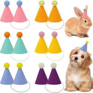 Combination Cross-Border Pet Birthday Embroidery Ins Style Cute Hat Cat and Dog Party Birthday Hat Pure Color Birthday Party