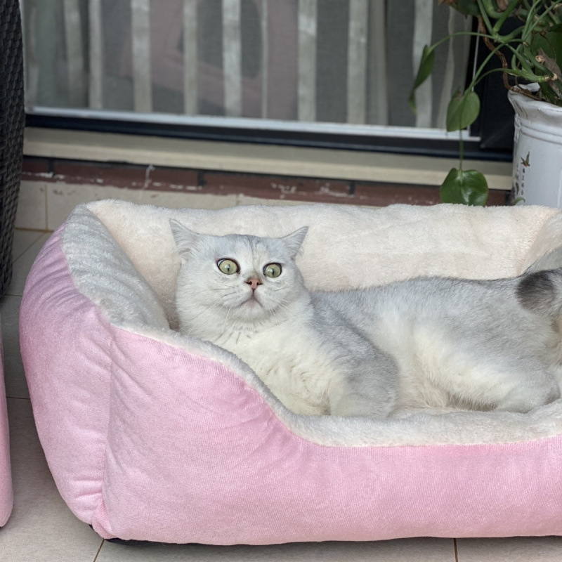 インターネットセレブ冬暖かいペット小屋猫小屋正方形犬小屋オールシーズンテディビションコーギーペットマット|undefined