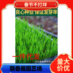 ��ƺ�N���ļ�����X���ͺ��ͺ�����é�o�����`̤��ƺ����ͥԺ�G��