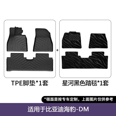 Trunk Mat Wholesale, Modelə uyğun ayaqaltı - 23-24-seal-dm-i-double-layer-floor-mats-galaxy-blanket