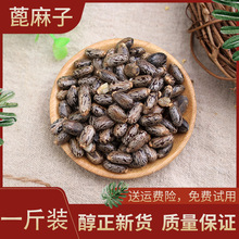 ��؛Ұ�������ӟo�������500�˰��]�t��������ș�ı����ʱ���N