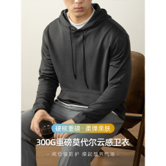高端300G重磅莫代尔连帽卫衣男春秋季轻熟风套头纯色舒适休闲上衣
