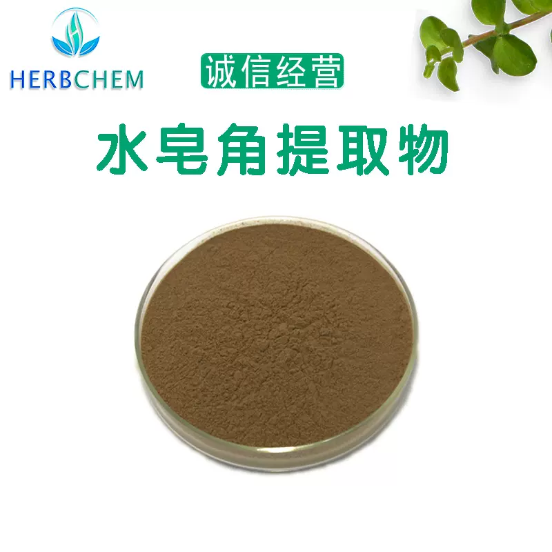 水皂角提取物10:1皂角粉皂角提取物品质保障各种规格现货欢迎咨询
