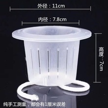 �����Ԅ���ˮ���ϻ���N�G�}�軨�ܷNֲˮ���������K��ֲ�@������