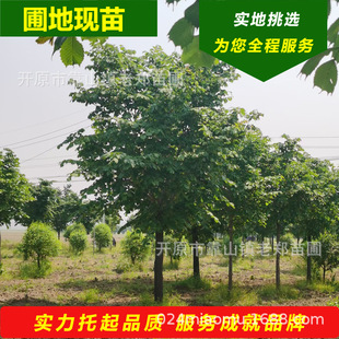 ���Գ������~�� ���^�@�ֵ����^�p�� �е�ͥ�a·߅�쾰�^�pҎ��ȫ