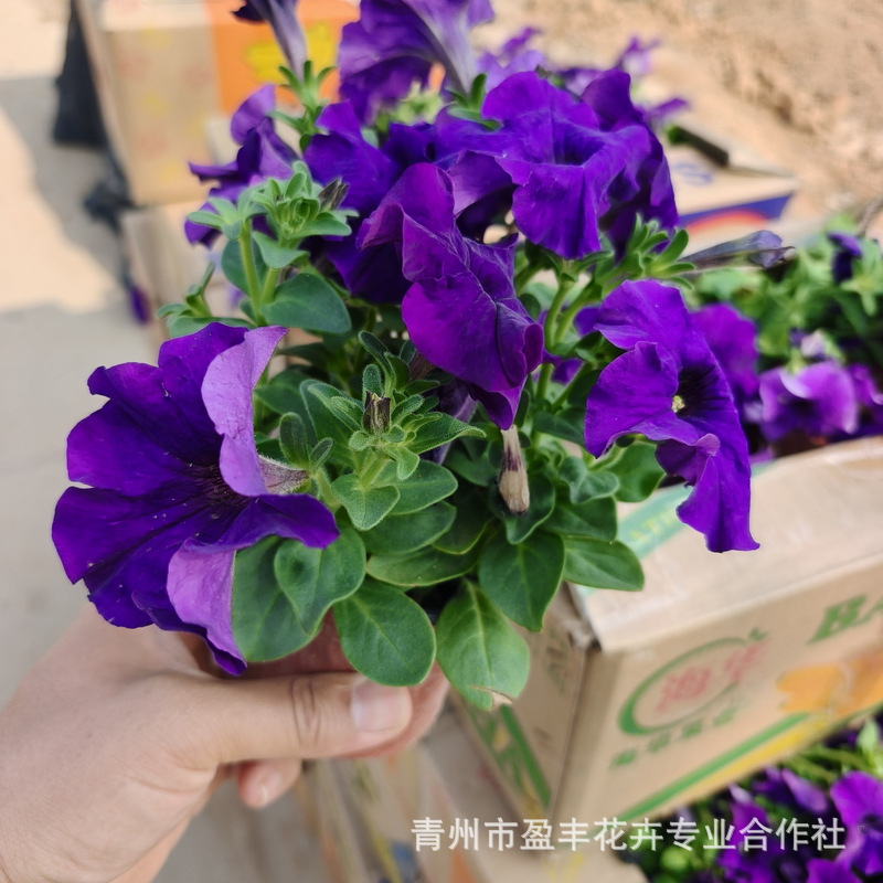 微信图片_20250410171304