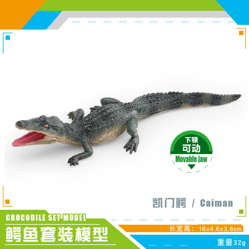 Transfronterizos infantiles simulación anfibio cocodrilo modelo cocodrilo imperador cocodrilo Yangtze mandíbula móvil estático juguete de decoración