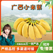 �����x���V��С�׽�8/9������l3��ˮ������Ž���Ȼ���SƤС�㽶