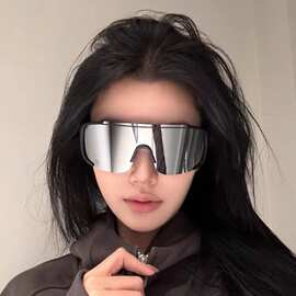 新款户外骑行登山防风护目镜大框显瘦墨镜防晒运动太阳眼镜男女款