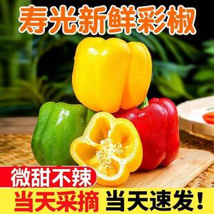 ˮ���ʽ����r����������߲ʼt���\�t�S�G�����߲�������]