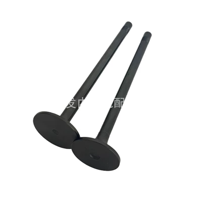 valve 51041010523 and exhaust – Valves and components