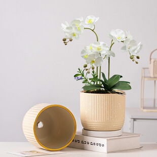 �����մɺ����m�����҃������̖�бP���õ��m�������ش�