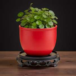 水培花盆大号陶瓷水仙花睡莲碗莲铜钱草无孔水养专用粗陶花盆清仓