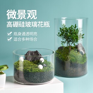 High Borosilicate Glass Vase Micro Landscape Empty Bottle Hydroponic Plant Bottle Straight Jar Art Flower Arrangement Living Room Vase Ornaments