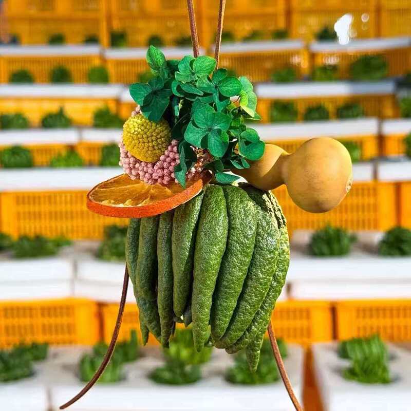 Yunnan Buddha's Hand Fruit Fresh Fruit Aroma Ornament Natural Fragrance Type Buddha's Hand Door Hanging Fragrance Pendant Home Decoration