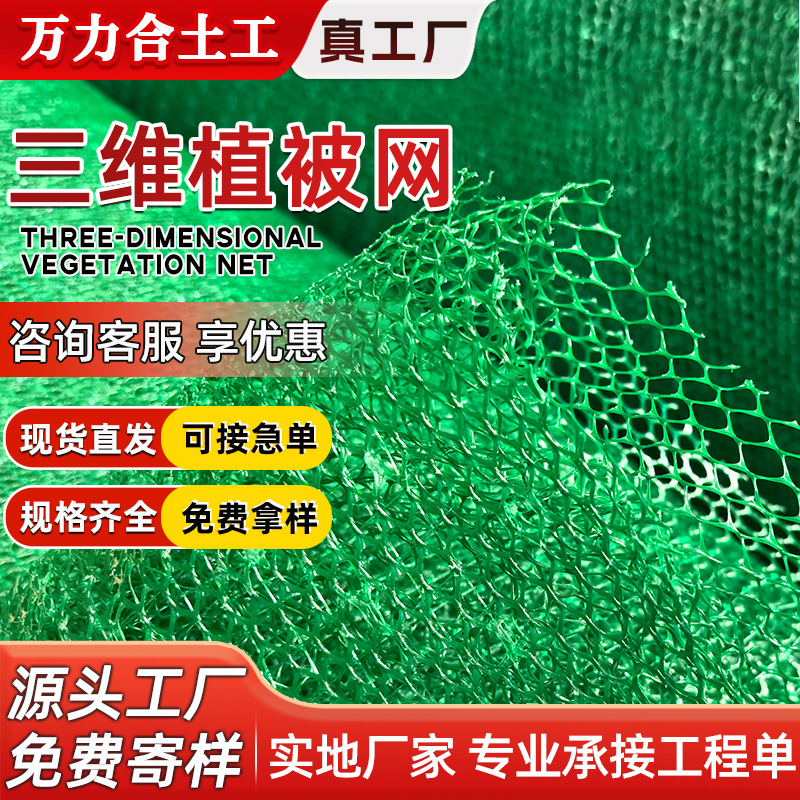 EM3植草加筋三维植被网护坡河道加筋网边坡防护hdpe土工网
