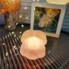 Beibei/Pink