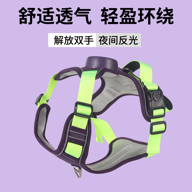 타로 보라색