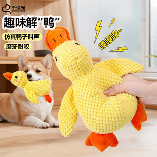������߽␞����ë�q�S���»�ĥ����ҧС���󹷰l��߹�����Ʒ