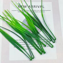 С�������ϻ��b���ˮ��