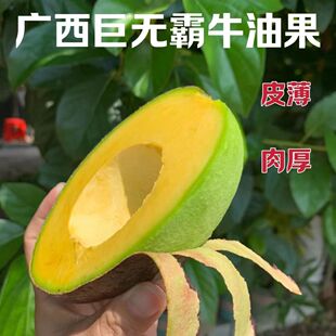 ţ�͹����rˮ�����a�{��ˮ�����͹������������ʳ�ޟo��ţ�͹�