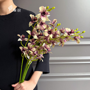 �羳���NС���m�m�����滨Ʒ�|؛ԴԴ�^���S���l�Ƶ�ܛ�b��c����