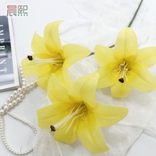 3DӡzƬٺϷ滨cûҾӾƵbٻ쾰z