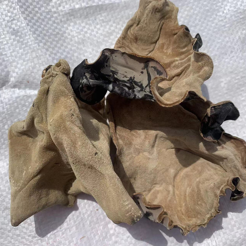 84113838d45892b8dbad882d017061