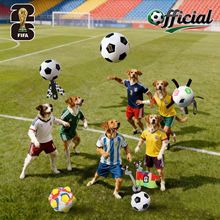 FIFA���籭�ٷ��ڙ����������ҧĥ��������ҧ������˻�������