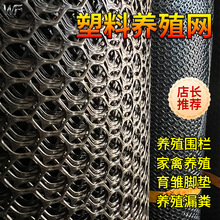 现货批发黑色加厚养殖漏粪垫网养殖育雏网围栏网塑料网格塑料网