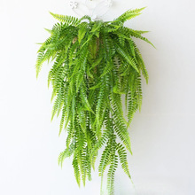 �羳����Gֲ��˹�~�ڒ����컨��ާ����Xާ�ٗl�b��÷���ٻ�