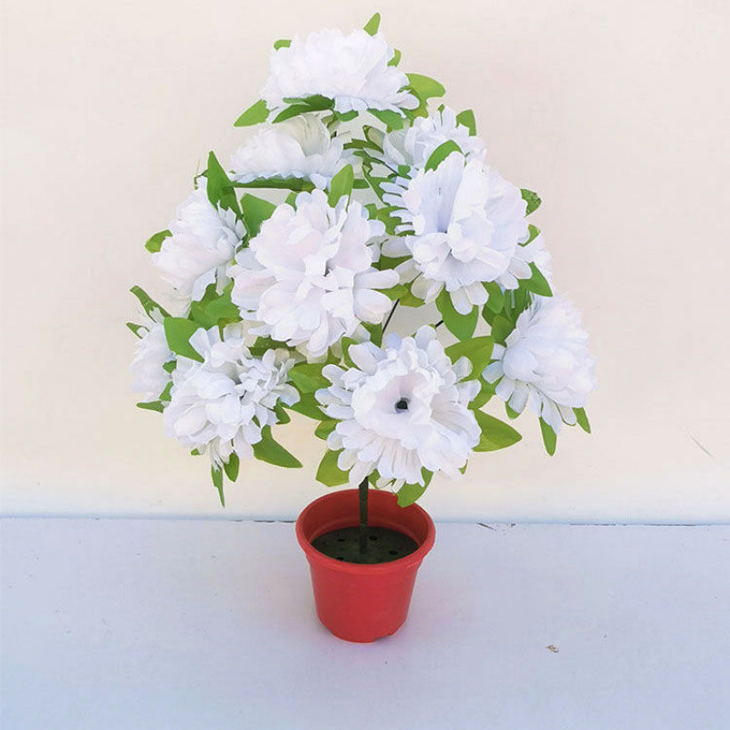 12 chrysanthemums with leaves (white) 1 branch - 1 branch + flowerpot quality choice