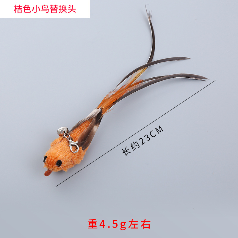 오렌지 새 교체 머리