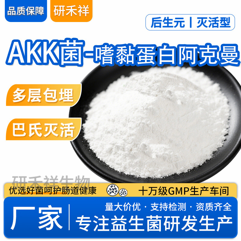 200 Billion Akk Bacteria, *Lactobacillus Acidophilus* Akkermansia, Inactivated Bacteria, Food-Grade Probiotic Raw Material Manufacturer 200 Billion Akk Bacteria, *Lactobacillus Acidophilus* Akkermansia, Inactivated Bacteria, Food-Grade Probiotic Raw Material Manufacturer
