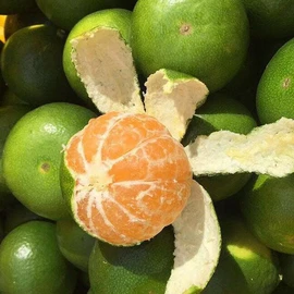 桃子;哈密瓜;芒果