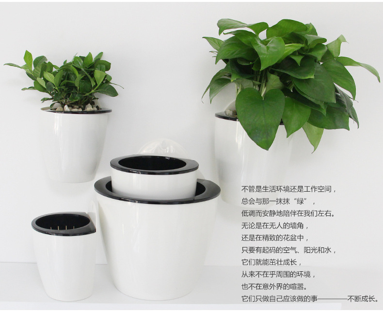 3384757293_886221436