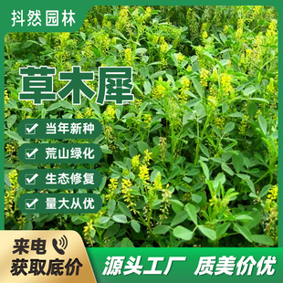 �S�����l��ľϬ���ݷN���S����ޣ�N�ѾG�ʷ��L��ɳ����