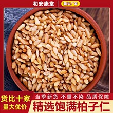 精选柏子仁中药材正宗柏籽仁柏子仁去皮去壳柏肉干货泡茶水搭酸枣
