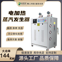 帕萊頓144kw電加熱蒸汽發生器 工業專用釀酒洗滌節能免辦證鍋爐