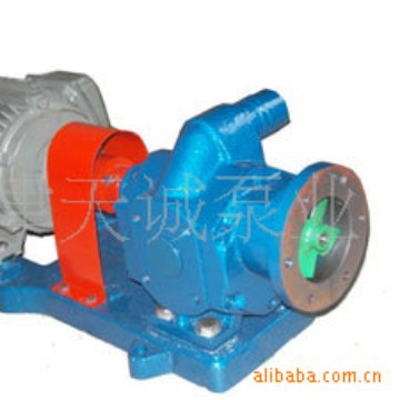 GZB系列高真空齿轮泵（可以定不锈钢，铜轮等)/人字泵/
