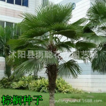 �ؙ��N�� �G����ľ�N�� �ؙ���N�� ��ƿ�~�� ���˿��N��