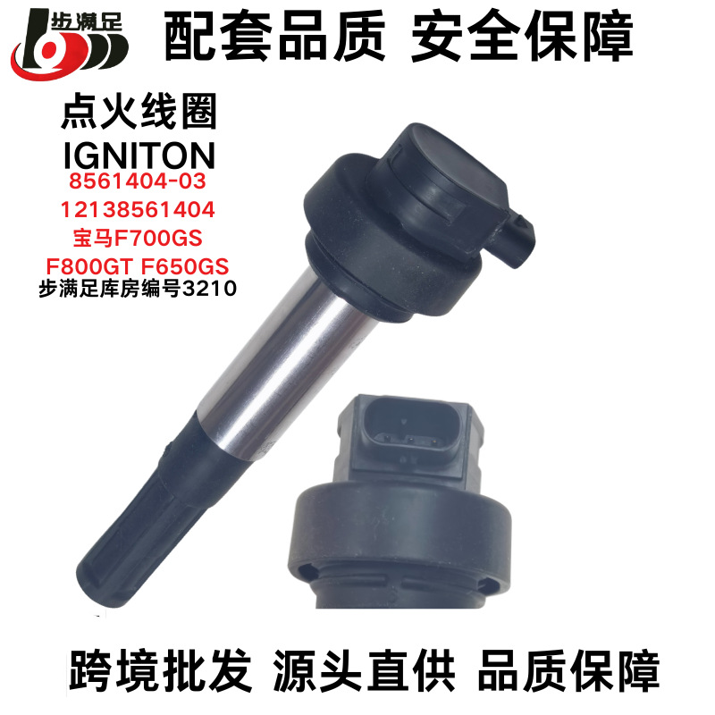 Motorcycle F700Gsf800S/St High Voltage Package with Module Bm F800Gt F650Gs Ignition Coil Accessories