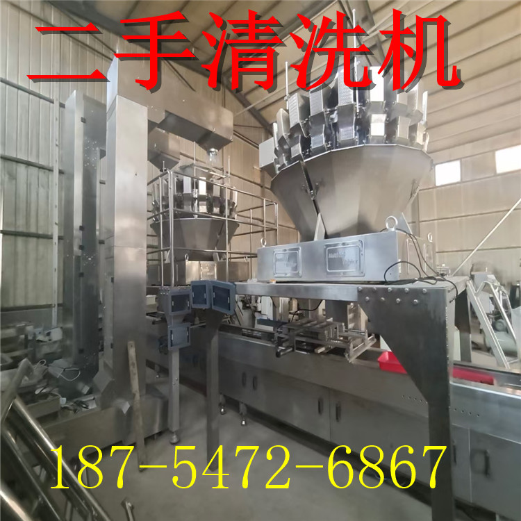 二手气泡清洗机 毛刷清洗机  毛豆清洗风选生产线