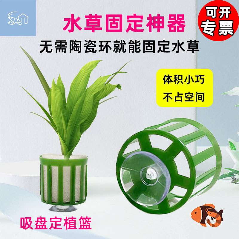 水草固定环吸盘定植篮三件套水草定植绵大号定植篮鱼缸造景养草杯