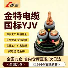 WDZ-YJY铜芯电线国标纯铜线阻燃低压电力电缆yjv国标铜芯线